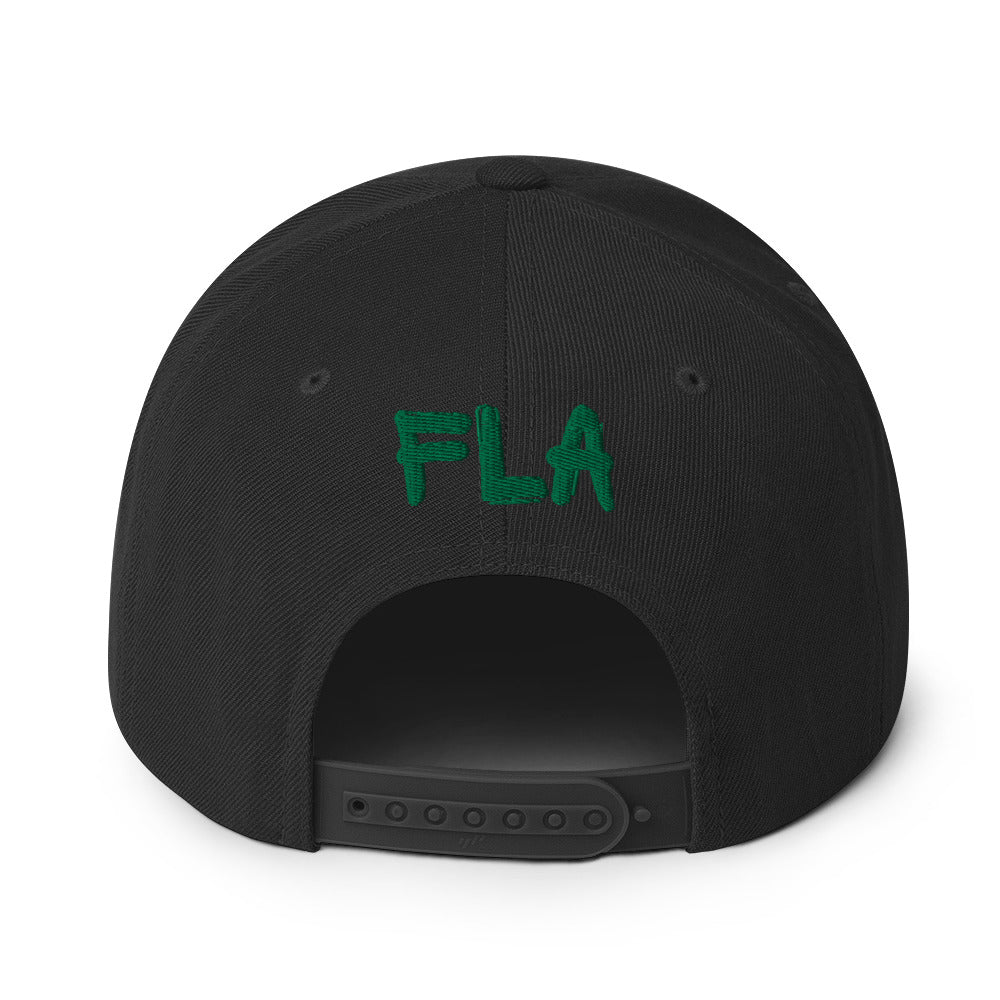 The Drip Snapback Hat